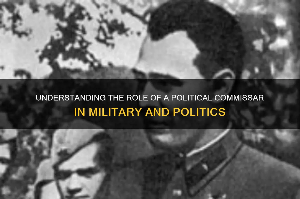 what is a political commissar