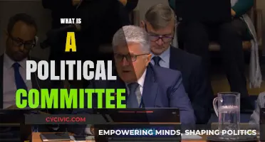 Understanding Political Committees: Roles, Functions, and Impact Explained