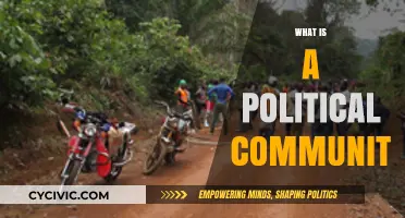 Understanding Political Communities: Foundations, Dynamics, and Societal Impact