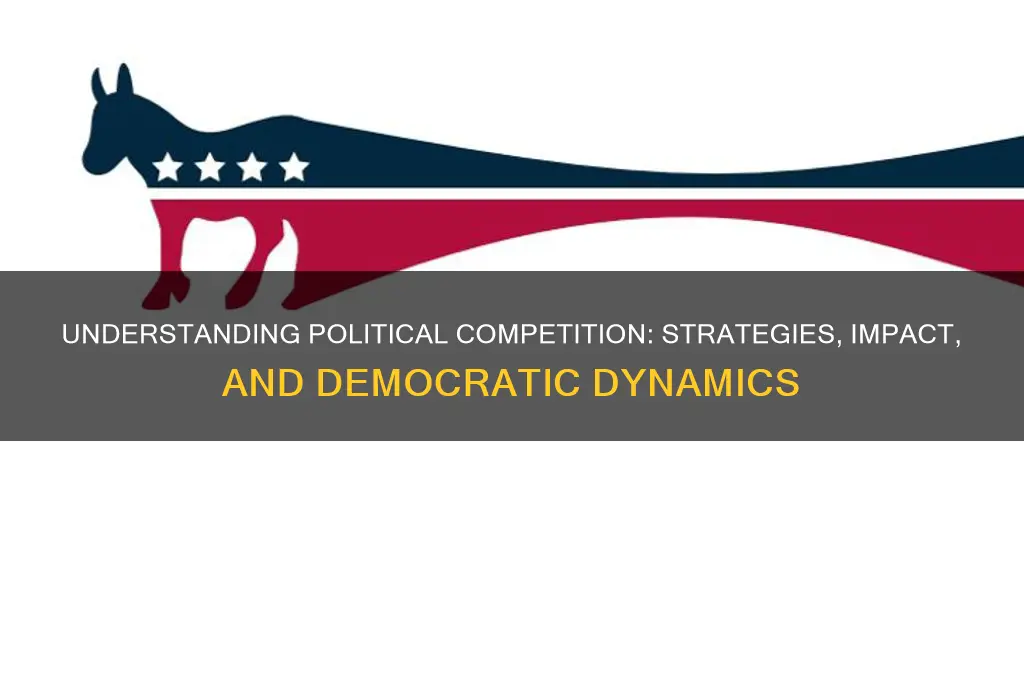what is a political competition