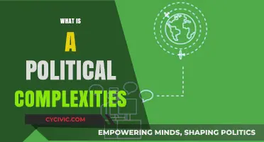 Understanding Political Complexities: Navigating Intricacies of Power and Governance
