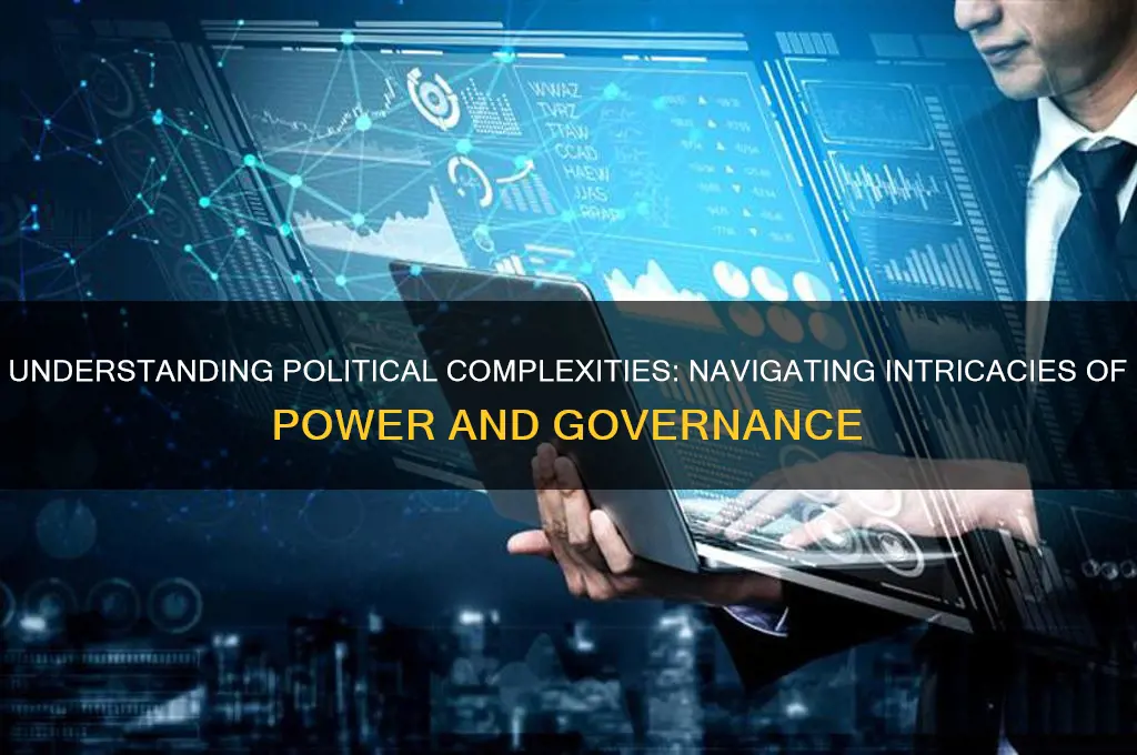 what is a political complexities