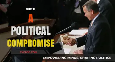 Understanding Political Compromise: Balancing Interests for Effective Governance