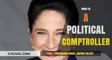 Understanding the Role of a Political Comptroller in Government Finance