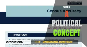 Understanding Political Concepts: Definitions, Importance, and Real-World Applications