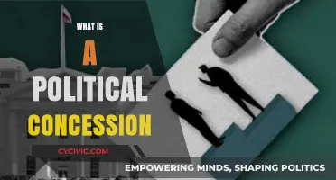 Understanding Political Concessions: Key Role in Elections and Governance