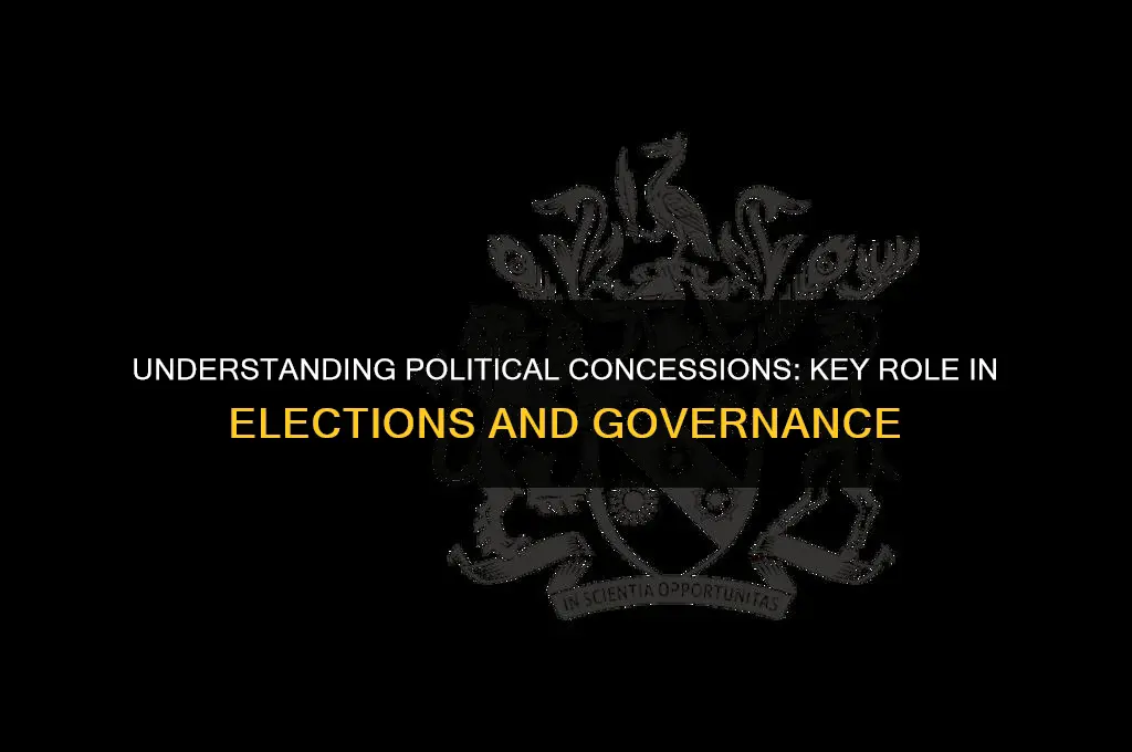 what is a political concession