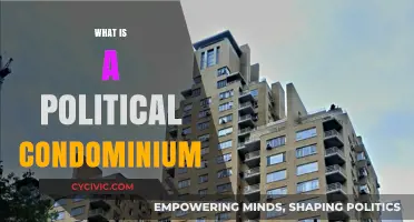 Understanding Political Condominiums: Shared Sovereignty and International Cooperation Explained