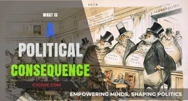Understanding Political Consequences: Impacts, Causes, and Real-World Implications