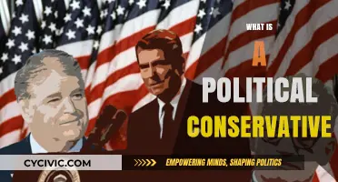 Understanding Political Conservatism: Core Values, Beliefs, and Modern Perspectives