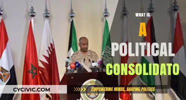 Understanding the Role of a Political Consolidator in Modern Governance