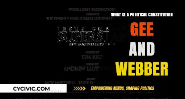 Understanding Political Constitutions: Gee and Webber's Insights