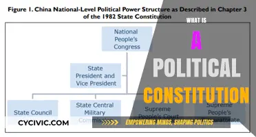 Understanding the Role and Structure of a Political Constitution