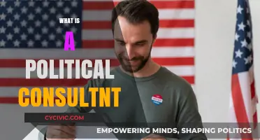 Understanding the Role of a Political Consultant: Strategies, Influence, and Impact
