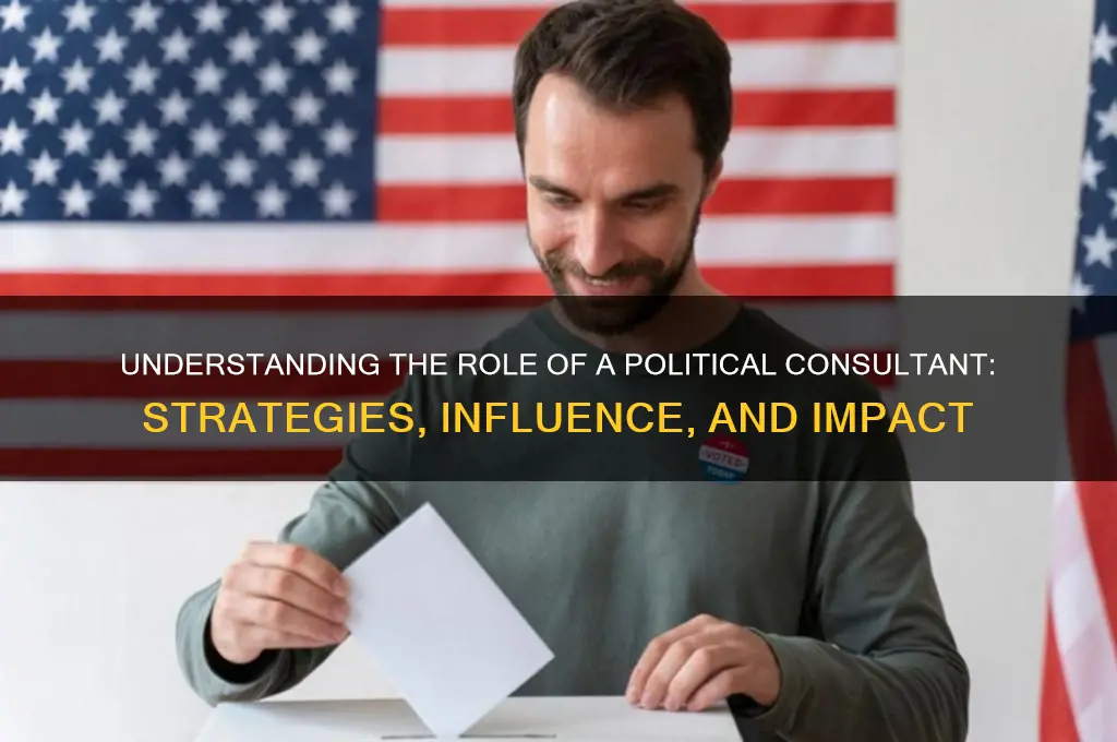 what is a political consultnt