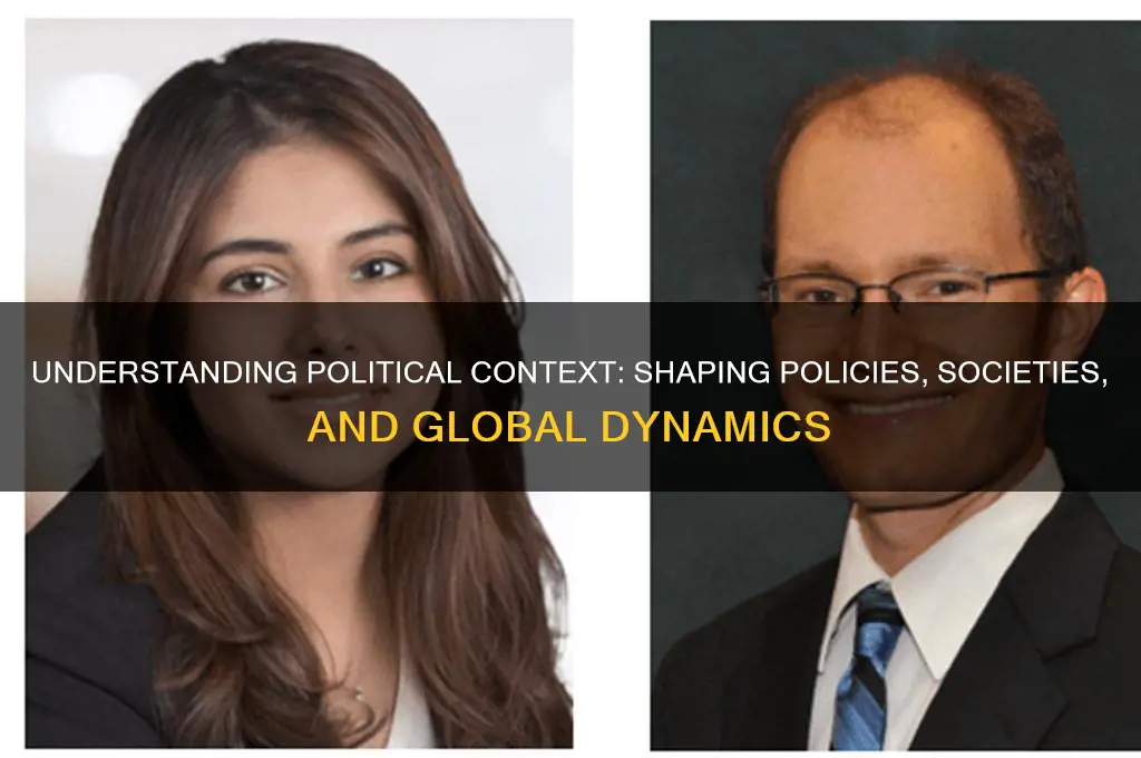 what is a political context