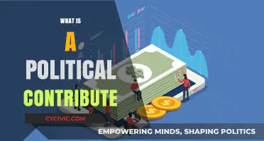 Understanding Political Contributions: Impact, Rules, and Transparency Explained