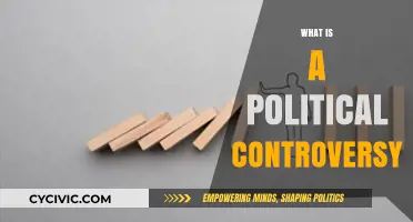 Understanding Political Controversies: Causes, Impacts, and Public Reactions Explained