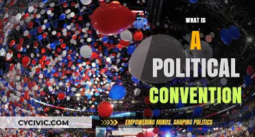 Understanding Political Conventions: Purpose, Process, and Impact Explained