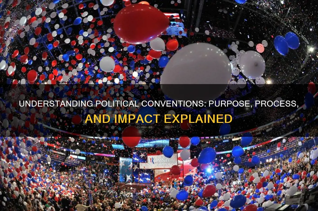 what is a political convention