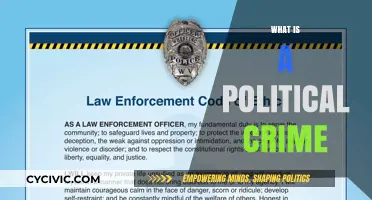 Understanding Political Crimes: Definition, Examples, and Legal Implications