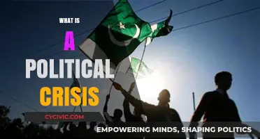 Understanding Political Crises: Causes, Impacts, and Resolution Strategies