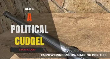 Understanding the Political Cudgel: A Weapon of Rhetoric and Power