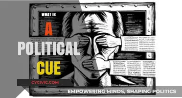 Decoding Political Cues: Understanding Their Role in Shaping Public Opinion