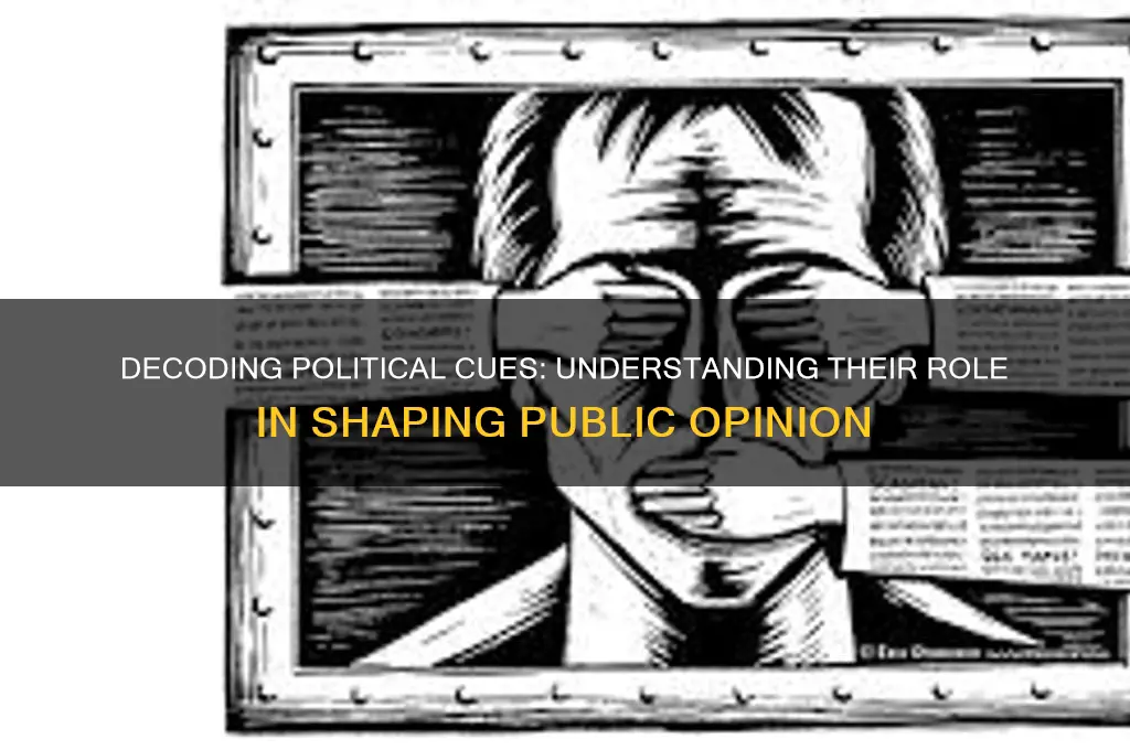 what is a political cue