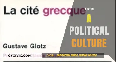 Understanding Political Culture: Shaping Societies, Beliefs, and Governance Dynamics