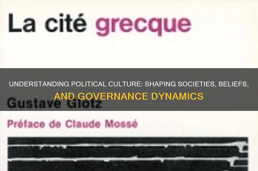 what is a political culture