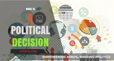 Understanding Political Decisions: Power, Process, and Public Impact Explained