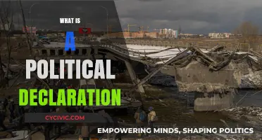 Understanding Political Declarations: Purpose, Impact, and Global Significance