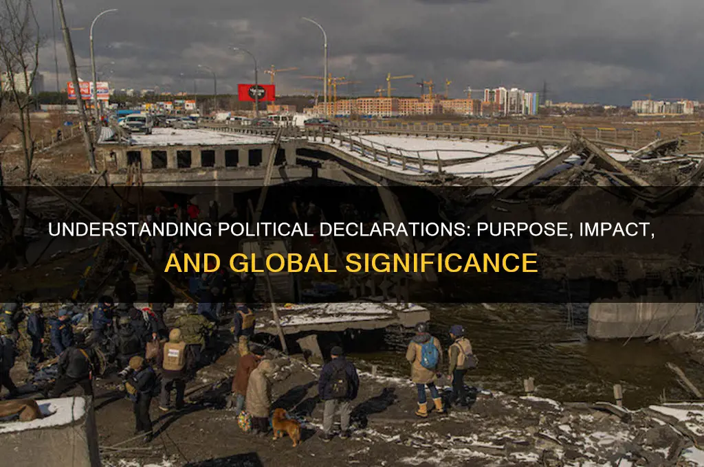 what is a political declaration