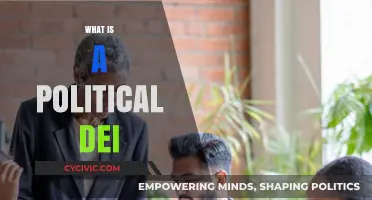 Understanding Political DEI: Diversity, Equity, and Inclusion in Governance