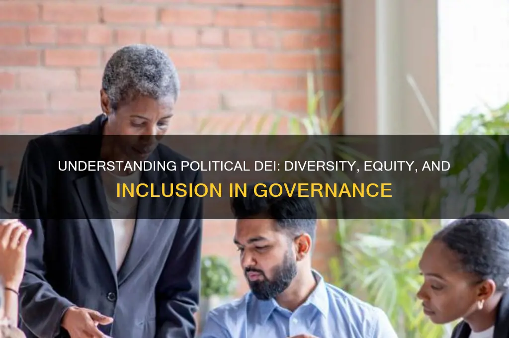 what is a political dei