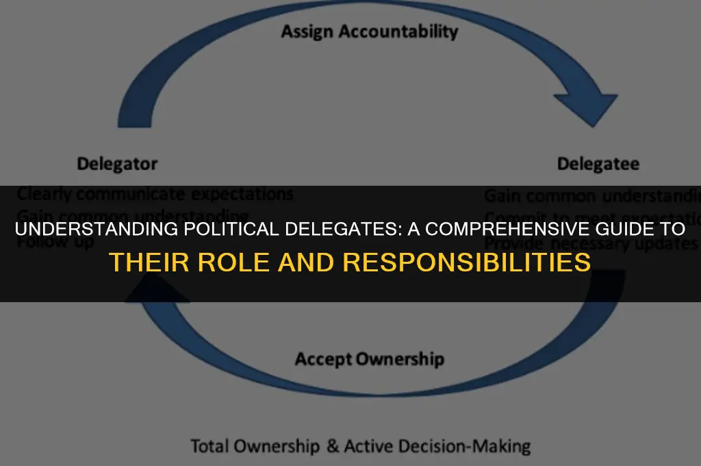 what is a political delegate mean