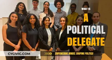Understanding Political Delegates: Roles, Responsibilities, and Influence in Elections