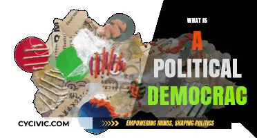 Understanding Political Democracy: Principles, Function, and Global Impact Explained