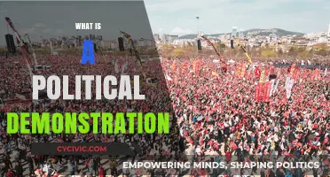 Understanding Political Demonstrations: Purpose, Impact, and Historical Significance