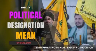 Decoding Political Designations: A Comprehensive Guide to Understanding Labels