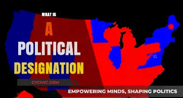Understanding Political Designations: Roles, Significance, and Impact Explained