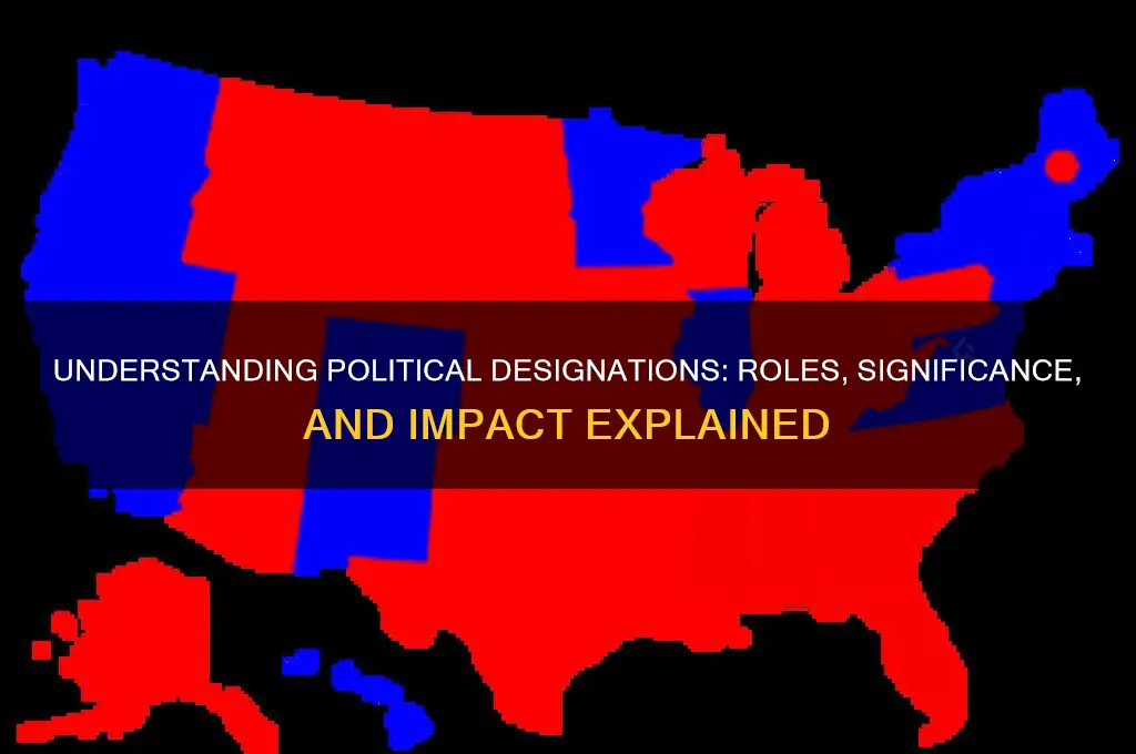 what is a political designation