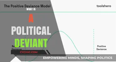 Understanding Political Deviance: Defining the Boundaries of Acceptable Behavior