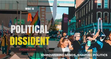 Understanding Political Dissidence: Voices of Dissent and Resistance Explained