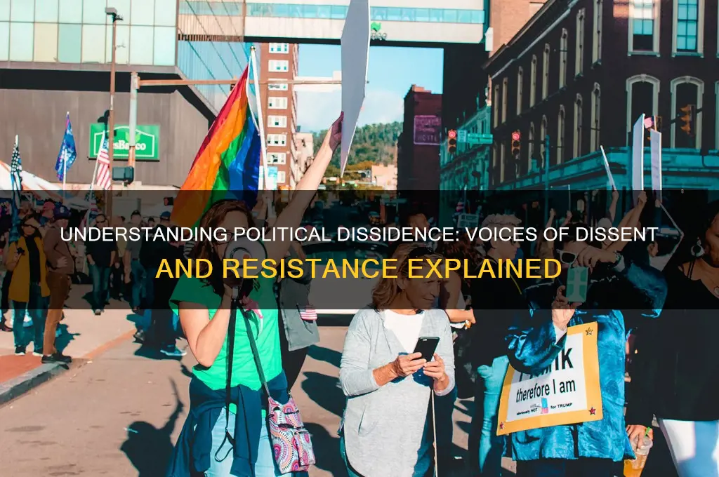 what is a political dissident