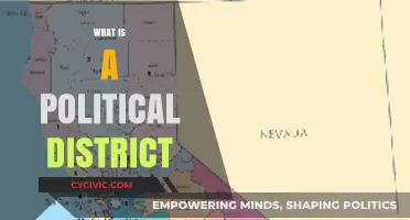 Understanding Political Districts: Boundaries, Representation, and Electoral Impact
