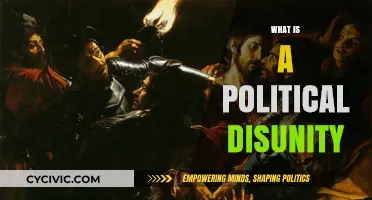 Understanding Political Disunity: Causes, Consequences, and Paths to Unity