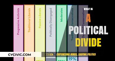 Understanding the Political Divide: Causes, Impacts, and Bridging the Gap