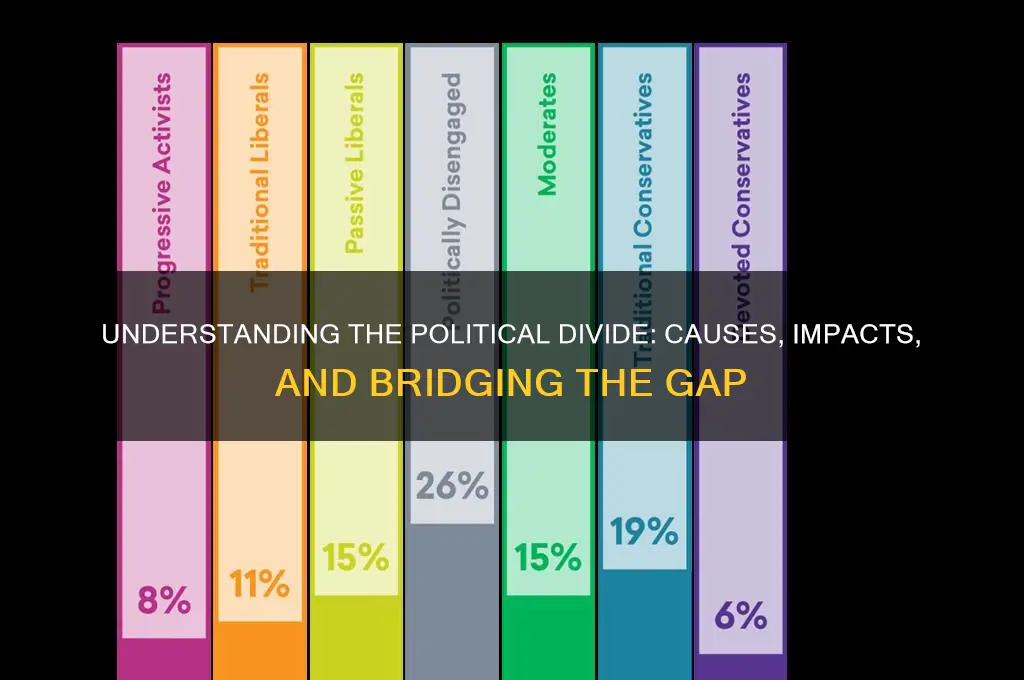 what is a political divide